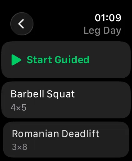 FormLens on Apple Watch — workout day detail